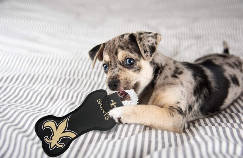 NFL Dog TUG - Image 2