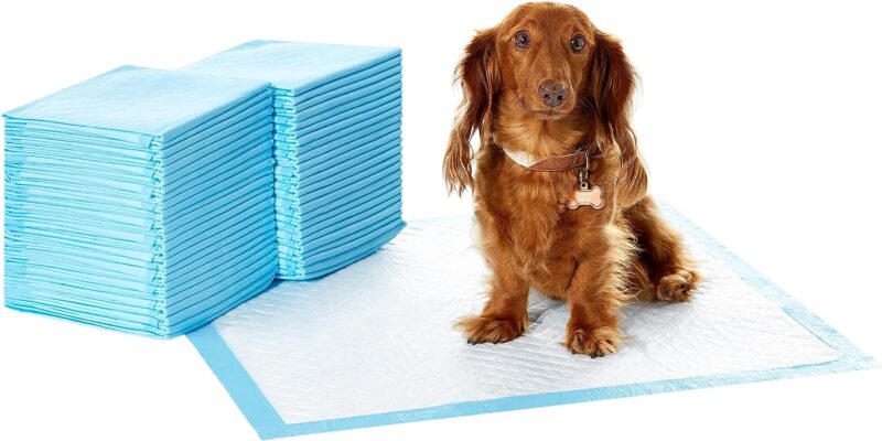 Dog Training Pads