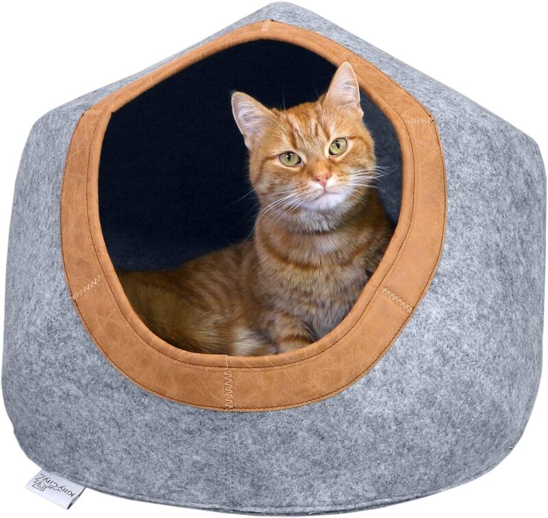 Cat Bed