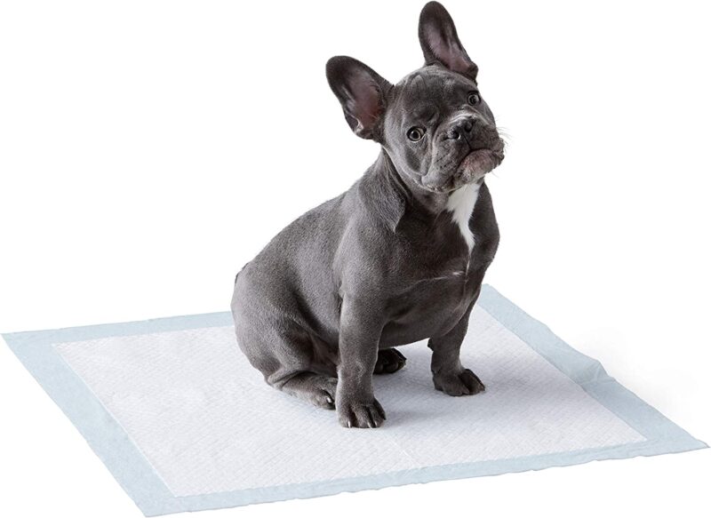 Dog Pee Pads